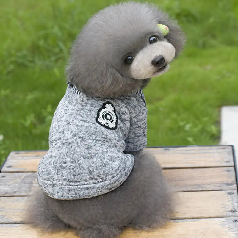 Pet Hoodie with Collar for Dogs and Cats