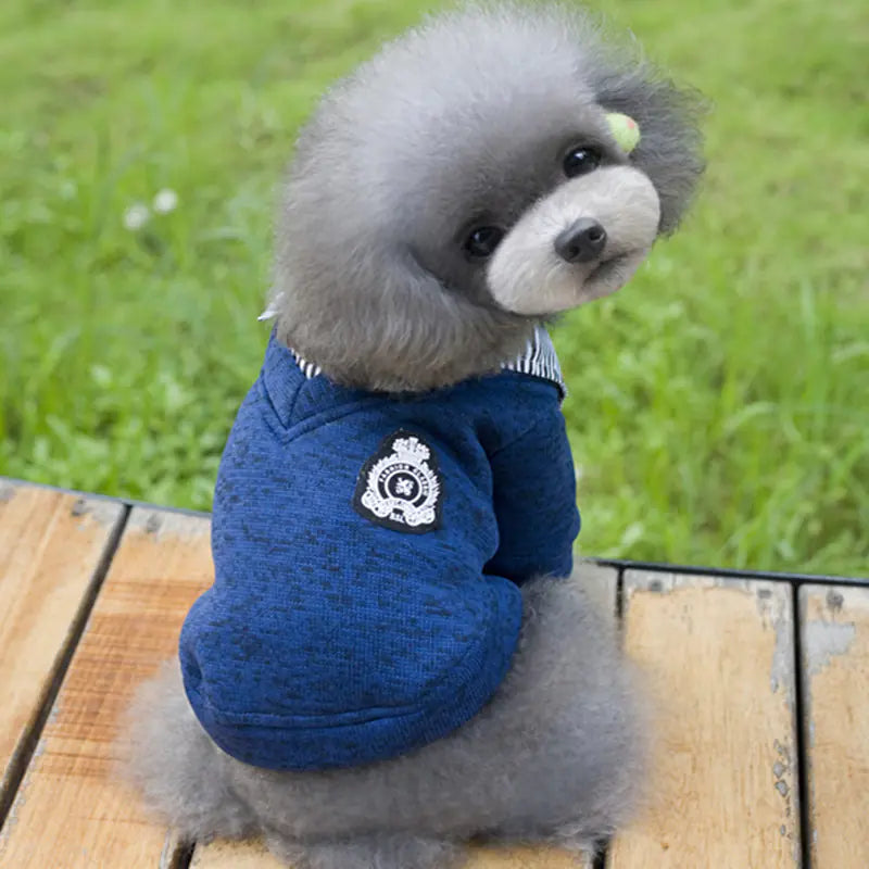 Pet Hoodie with Collar for Dogs and Cats