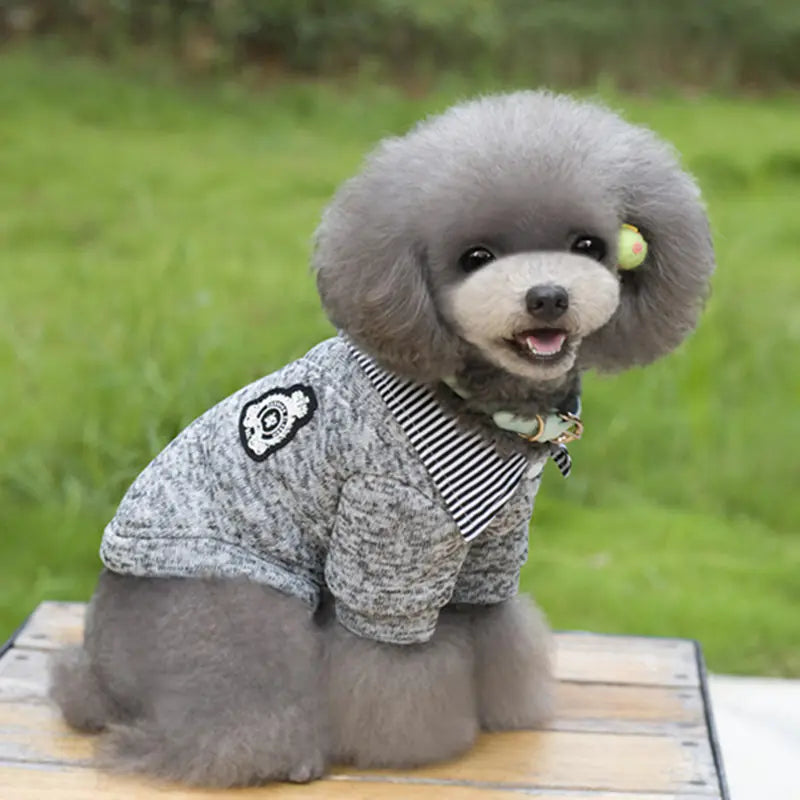 Pet Hoodie with Collar for Dogs and Cats